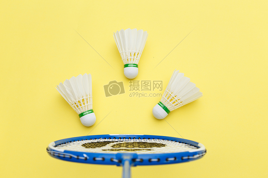 范迪克在场 范迪克在场