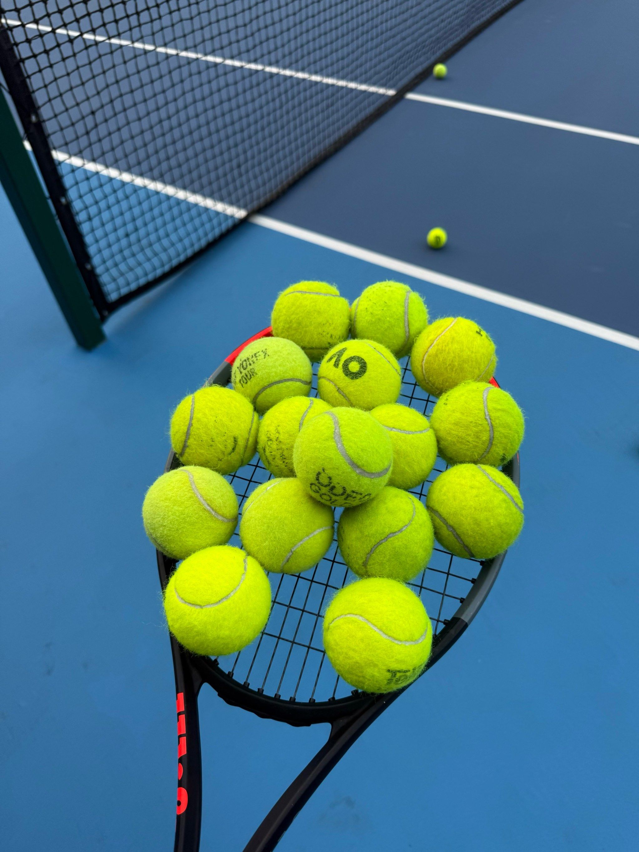 因伤缺席 因伤缺席